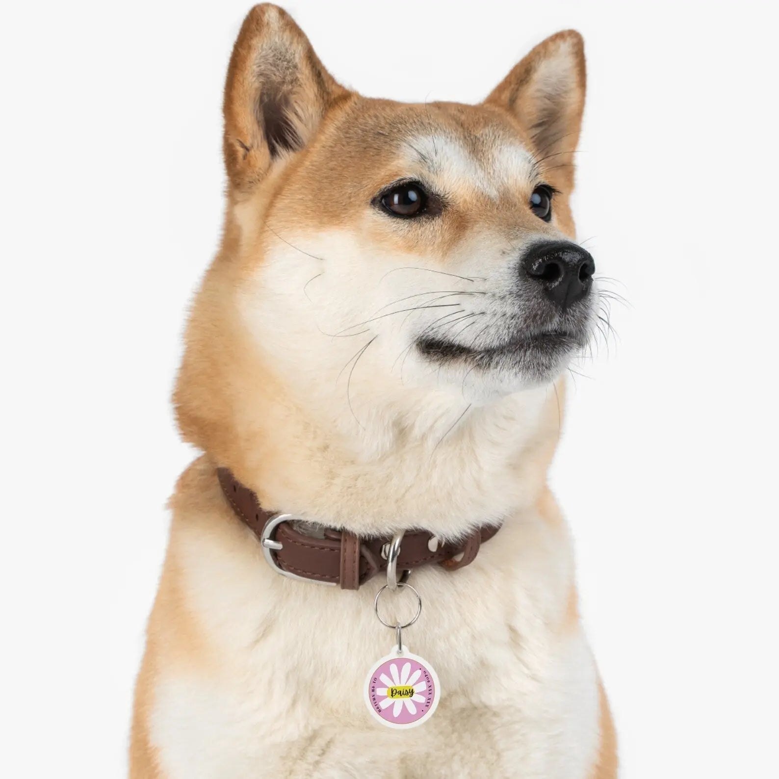Pet Tag 2222 Call of duty toys test 2